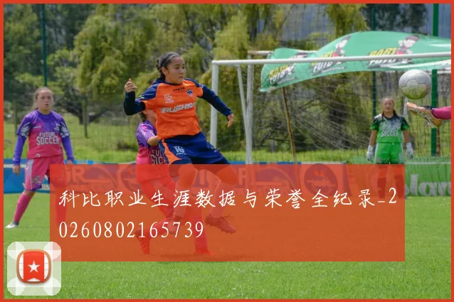科比职业生涯数据与荣誉全纪录_20260802165739